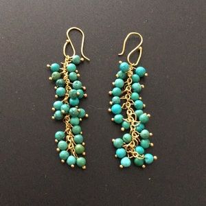 Faux Turquoise grape seed hanging earrings